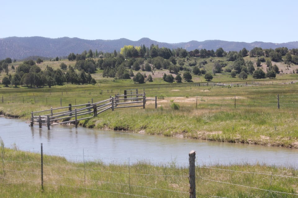 Sevier River Runs through our pasture