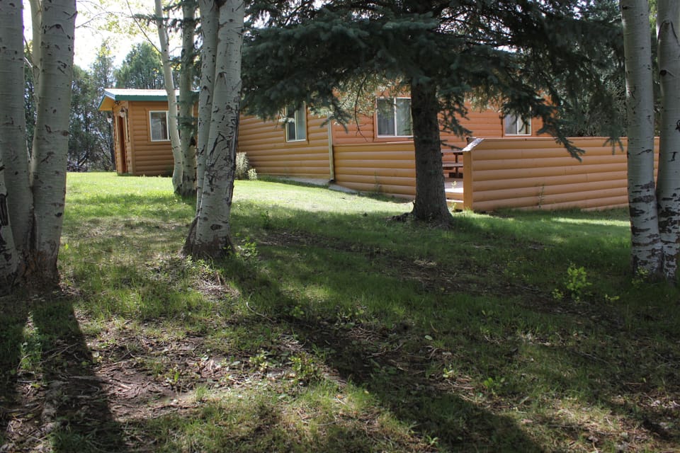 Side yard and BBQ Deck