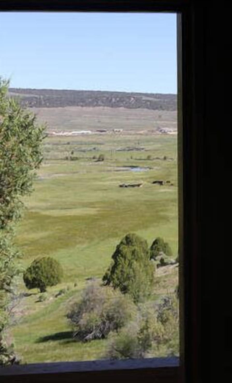 View out the front door