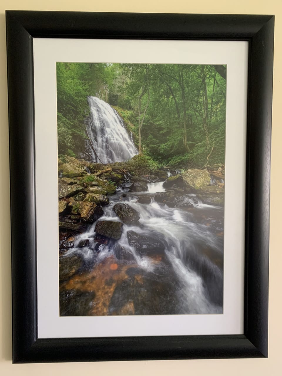 Beautiful artwork is hung throughout the space representing Asheville and WNC.