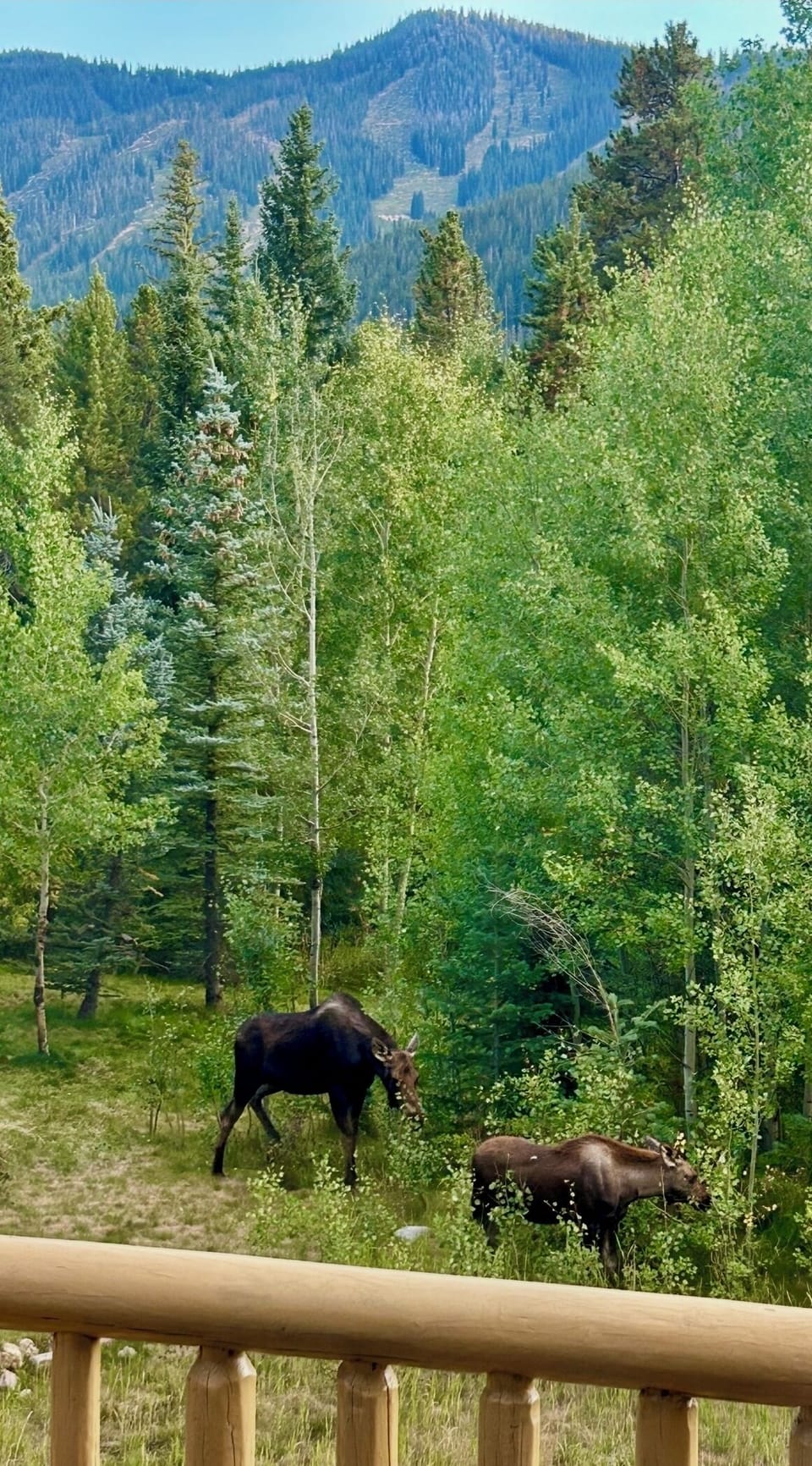 View from property