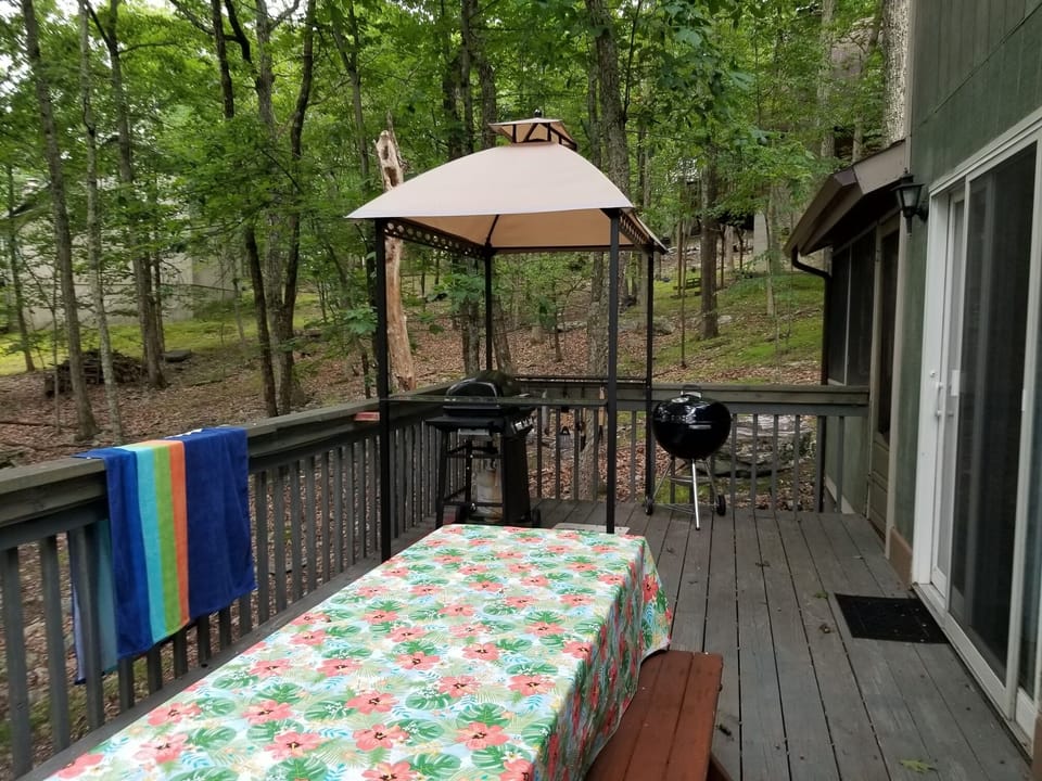 Large rear deck with canopy / 2 grills