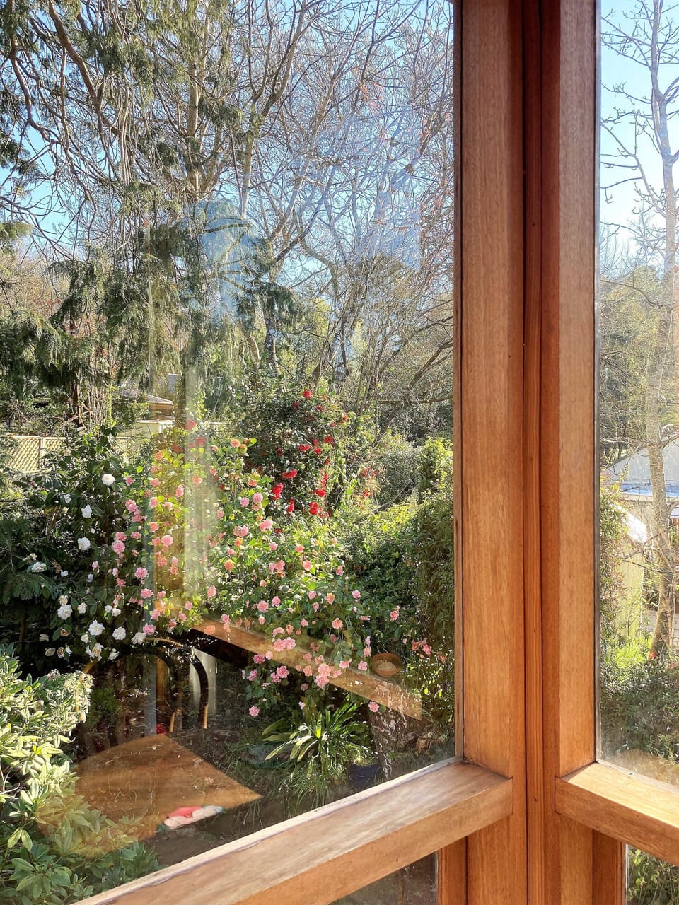 Camellia Cottage – Adelaide Hills Romantic Getaway Surrounded by Nature