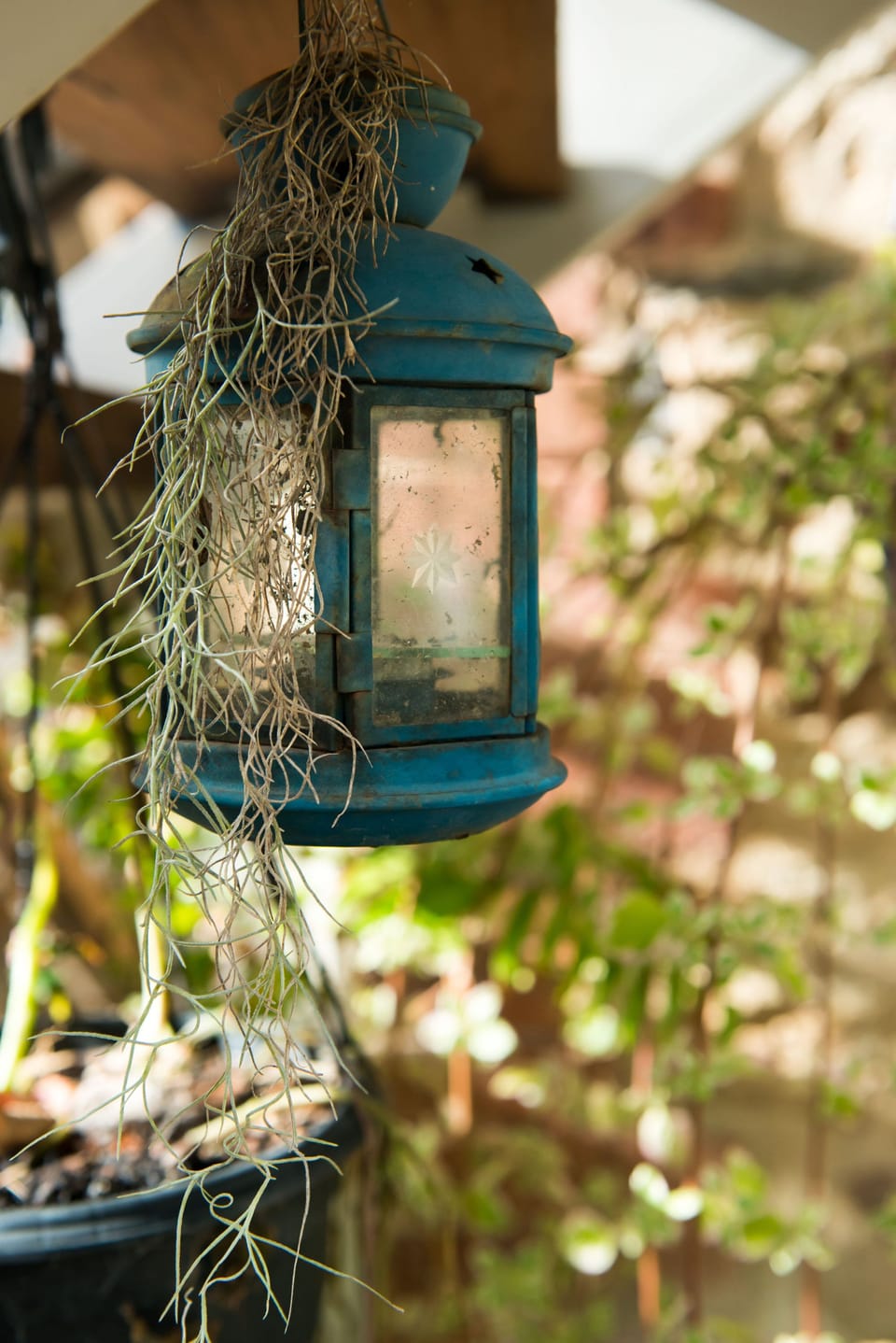 Camellia Cottage – Adelaide Hills Romantic Getaway Surrounded by Nature