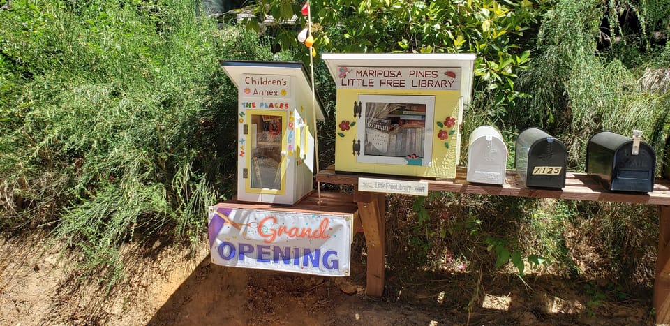 Our neighborhood "Little Free Library".