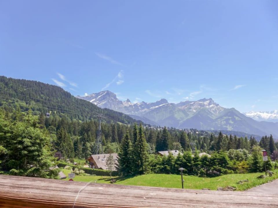 View
