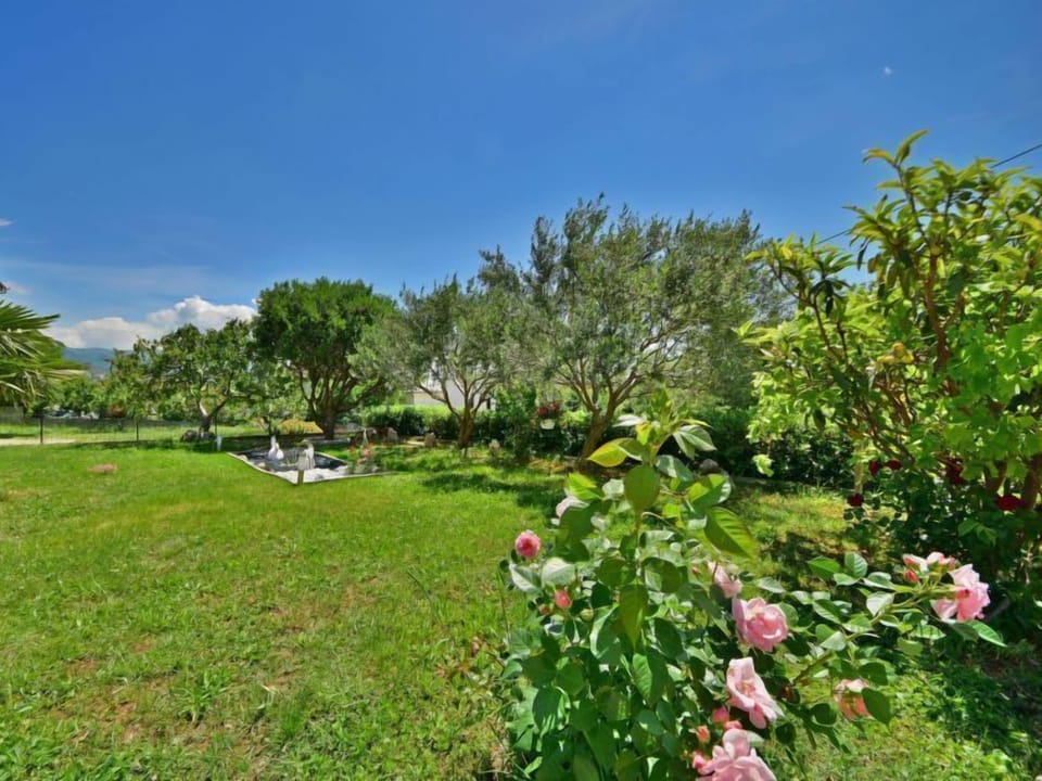 Outdoor