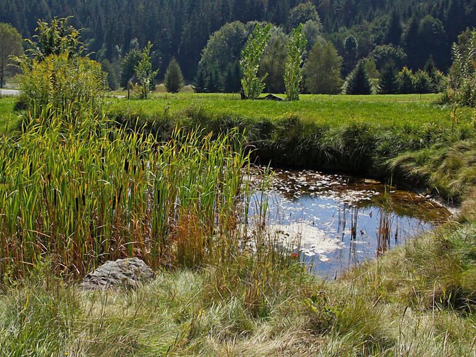 Place