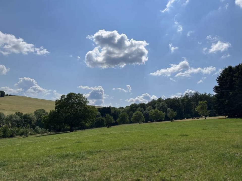 Place