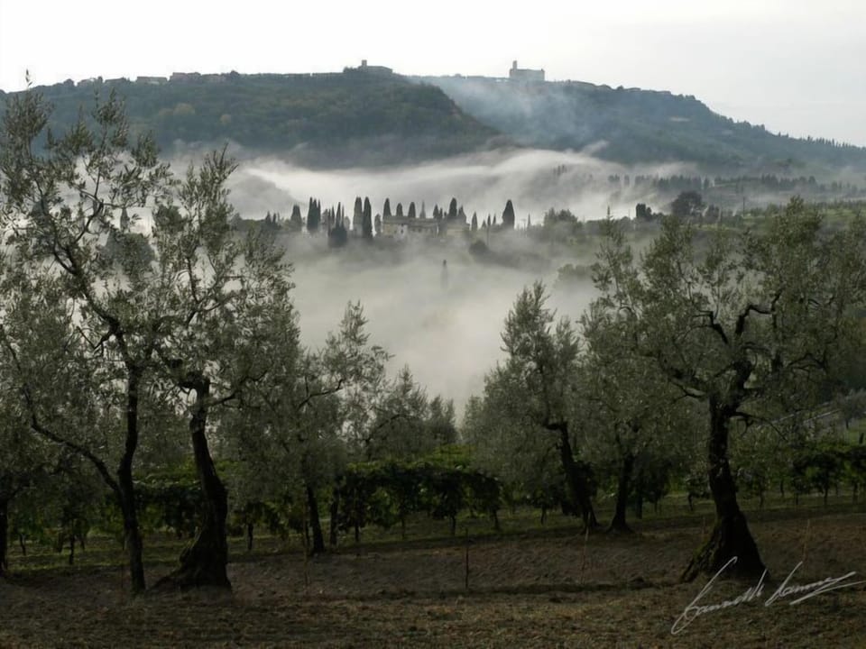 Place