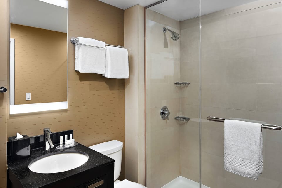 Shower, free toiletries, hair dryer, towels
