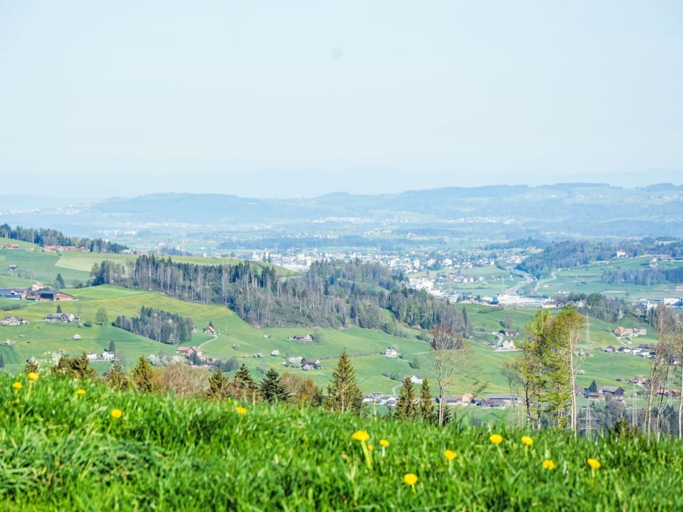View