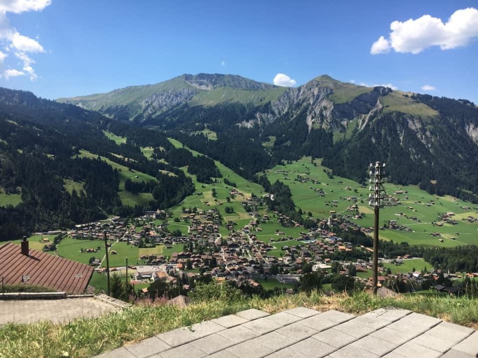 View