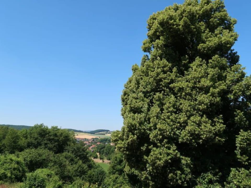 Place