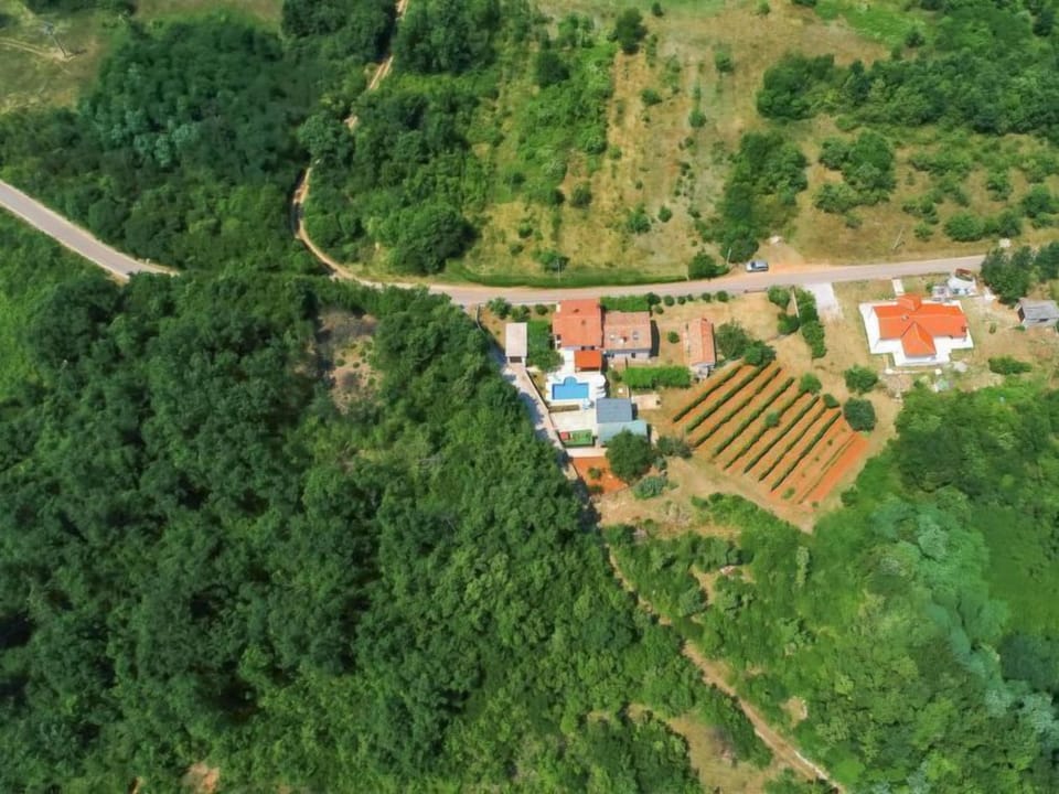 Aerial photography
