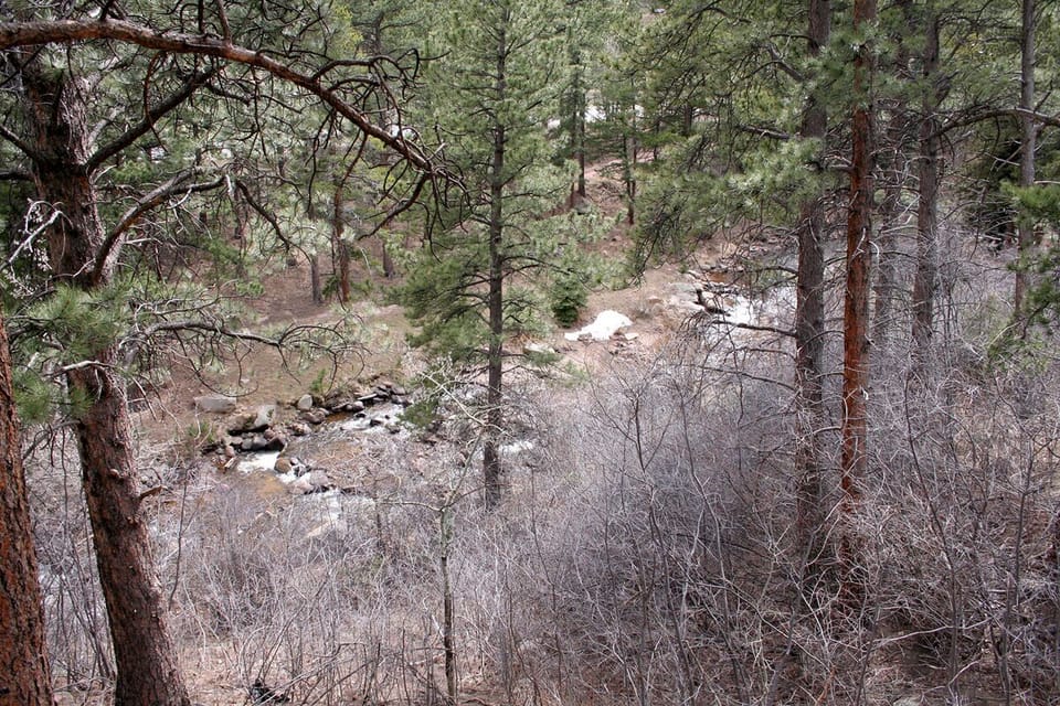 River View from Deck