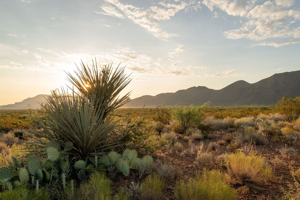 the beautiful desert