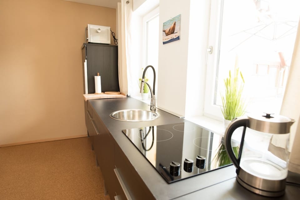 Apartment (Beachlounge) | Private kitchen | Full-size fridge, microwave, stovetop, electric kettle