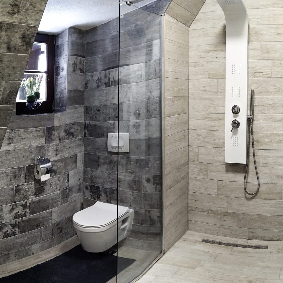 Deluxe Double Room | Bathroom | Shower, hydromassage showerhead, hair dryer, towels