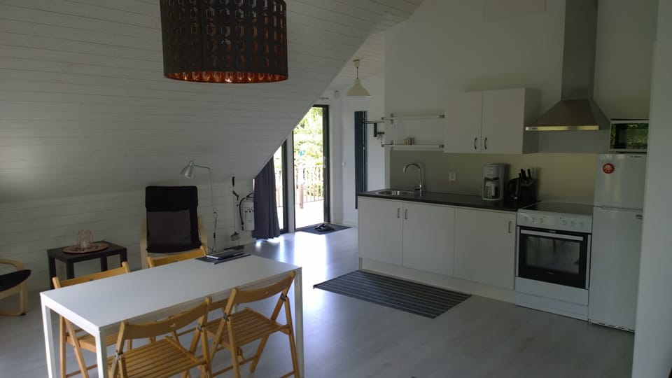 Apartment (Cleaning & Linens Excluded) | Private kitchen | Shared fridge, microwave, toaster