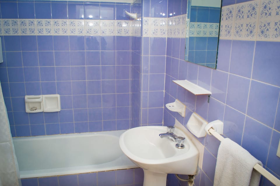 Shower, rainfall showerhead, bidet, towels