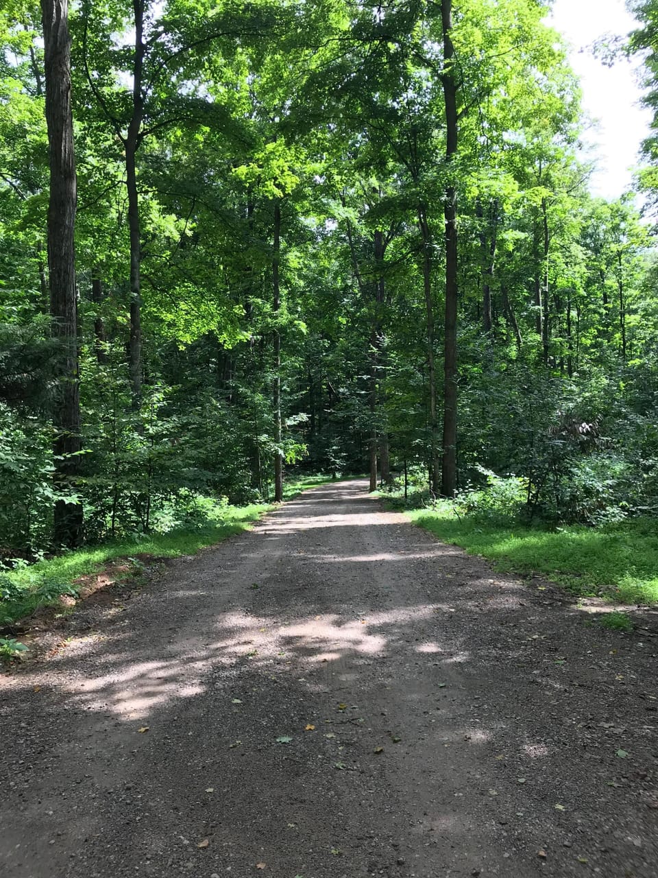 Your drive back to the cottages.