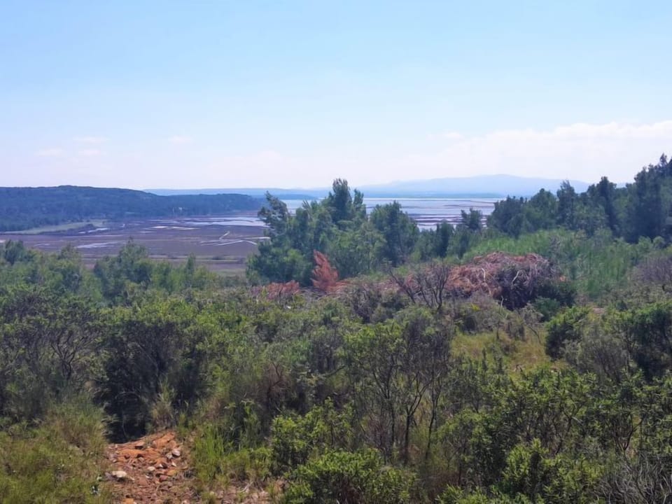 Place