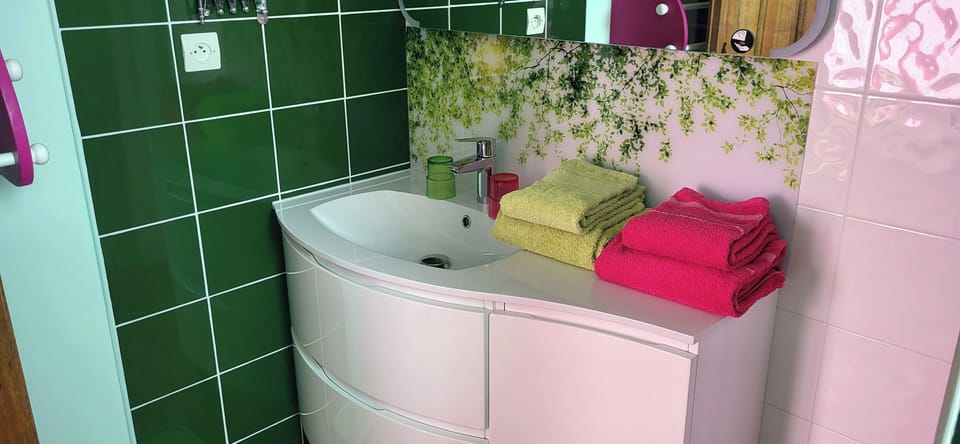 Family Room (Printemps) | Bathroom | Shower, hair dryer, towels