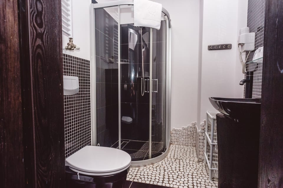 Triple Room | Bathroom | Shower, hair dryer, towels