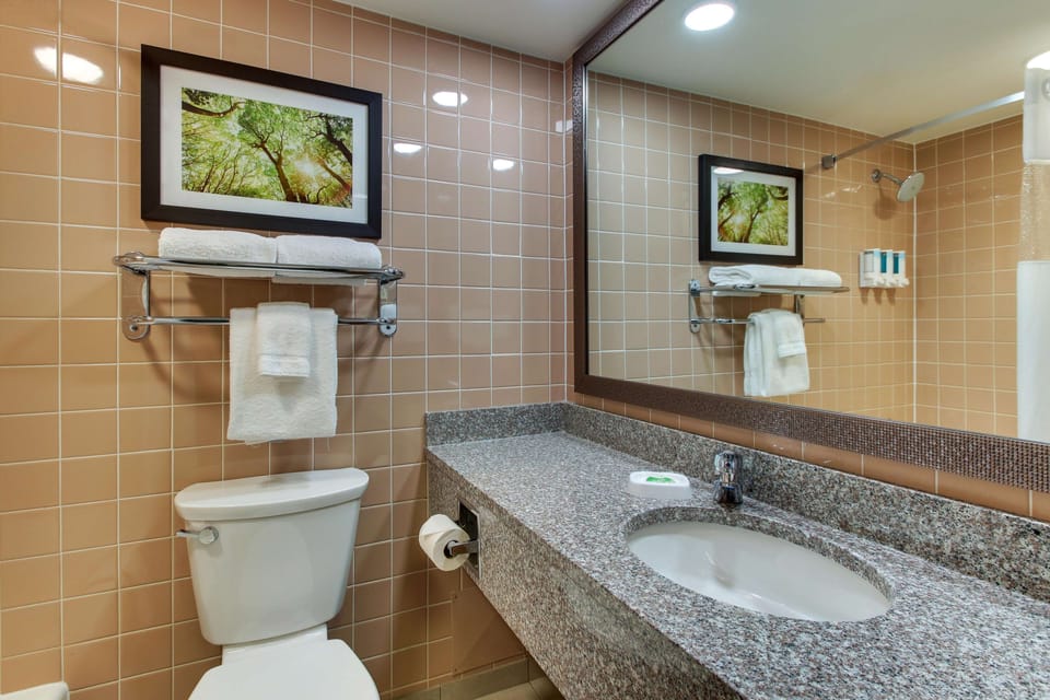 Combined shower/tub, free toiletries, hair dryer, towels