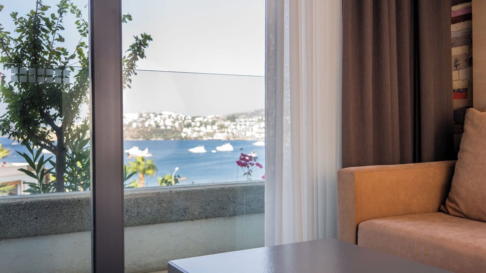 Deluxe Room | View from room