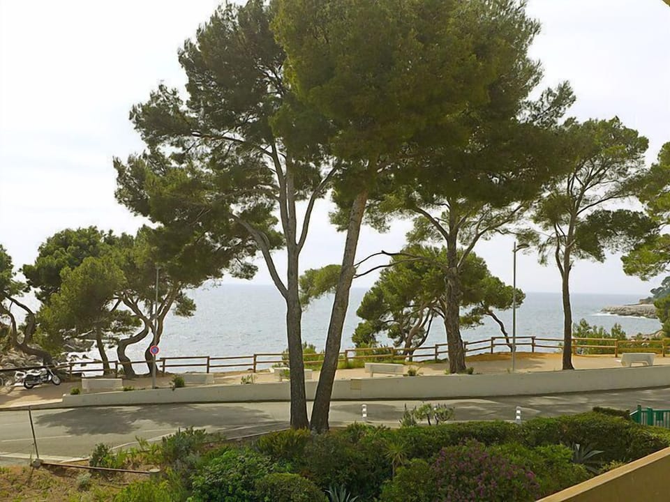 View