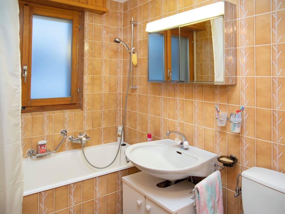 Bathroom / Wellness