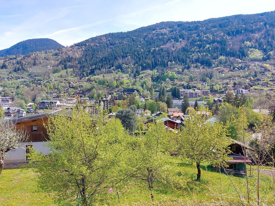 View