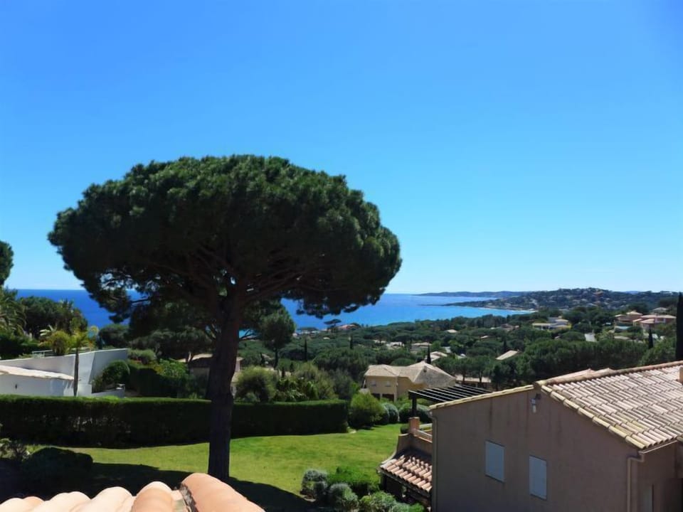View