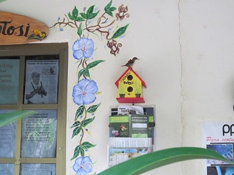 Even the birds have cabins