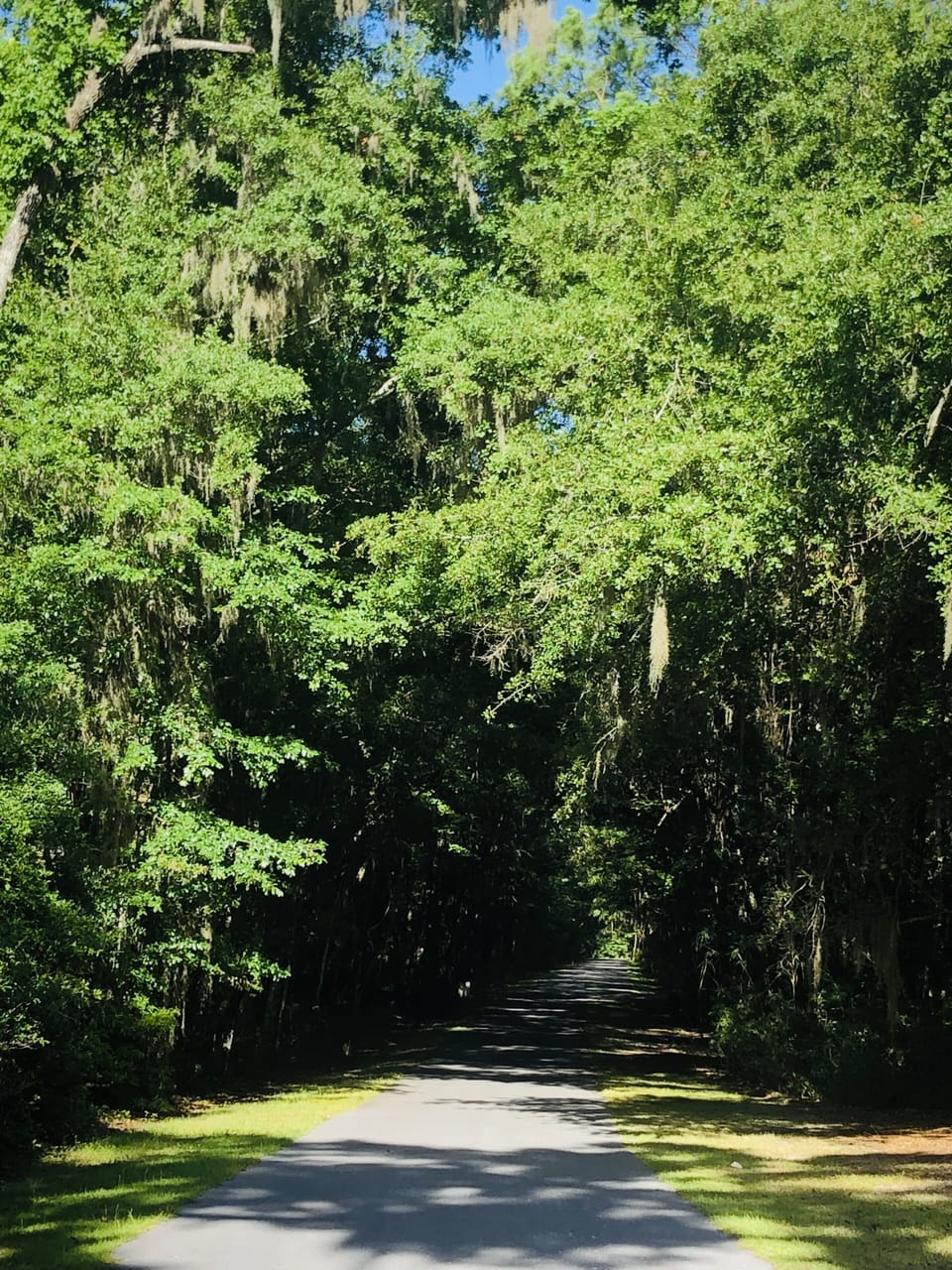 Fort Morris:  Enjoy the great Outdoors