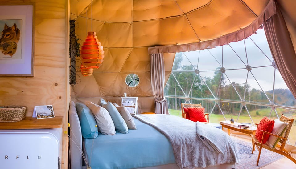 Panoramic Tent, 1 Bedroom, Vineyard View (The Pinot Glampers Dome) | Minibar, individually decorated, individually furnished, blackout drapes
