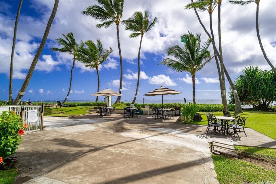 The umbrella area.