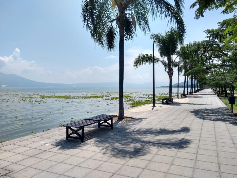 Malecon is only  6 blocks away.