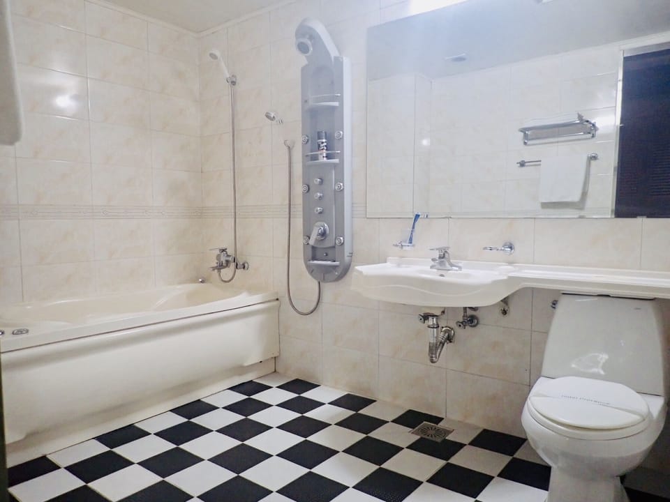 Combined shower/tub, free toiletries, hair dryer, bathrobes