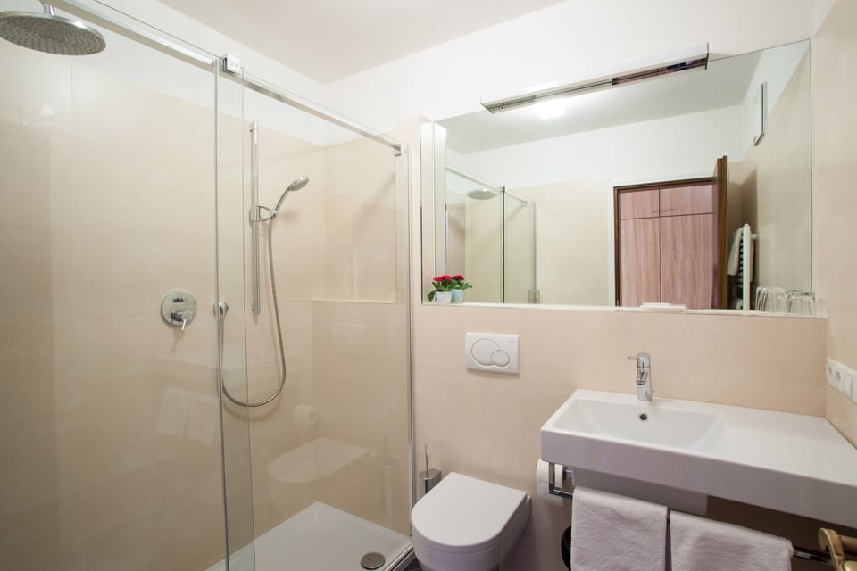 Double Room | Bathroom | Shower, rainfall showerhead, hair dryer, towels