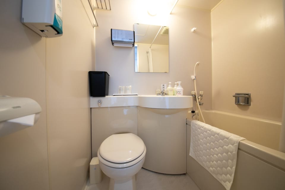 Free toiletries, hair dryer, slippers, bidet