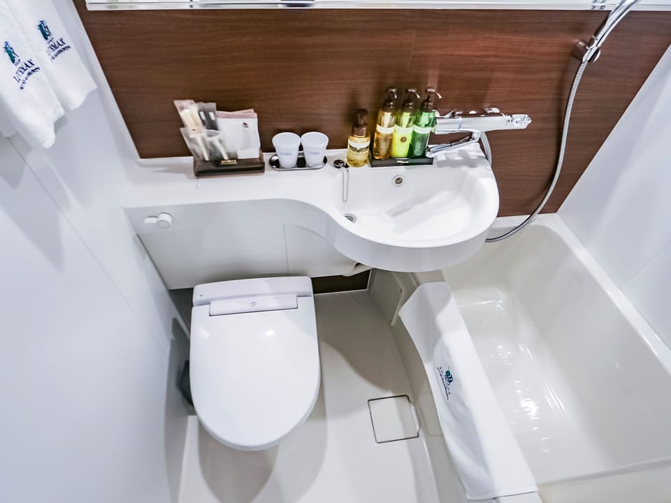 Combined shower/tub, free toiletries, hair dryer, slippers