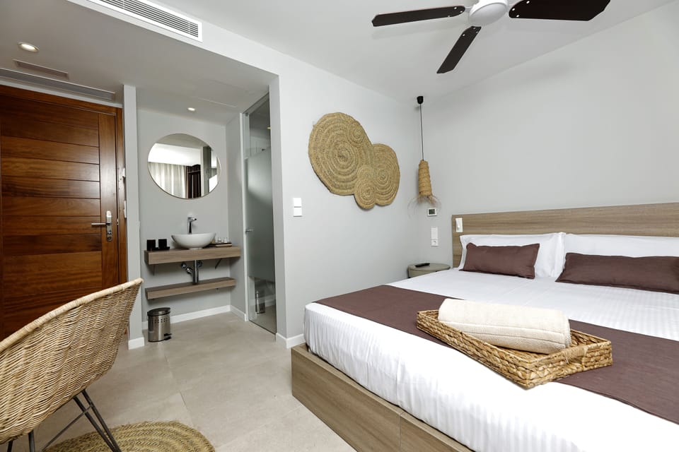 Standard Double Room, Terrace (Hípico) | Minibar, in-room safe, desk, laptop workspace