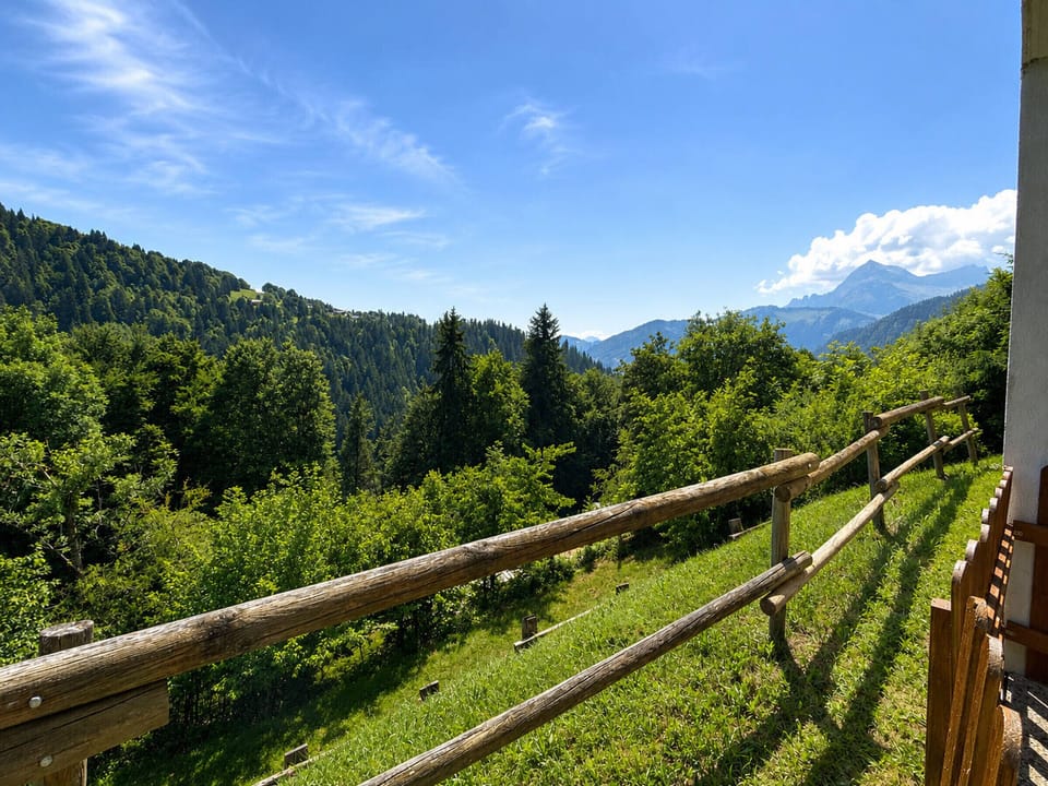 View from property