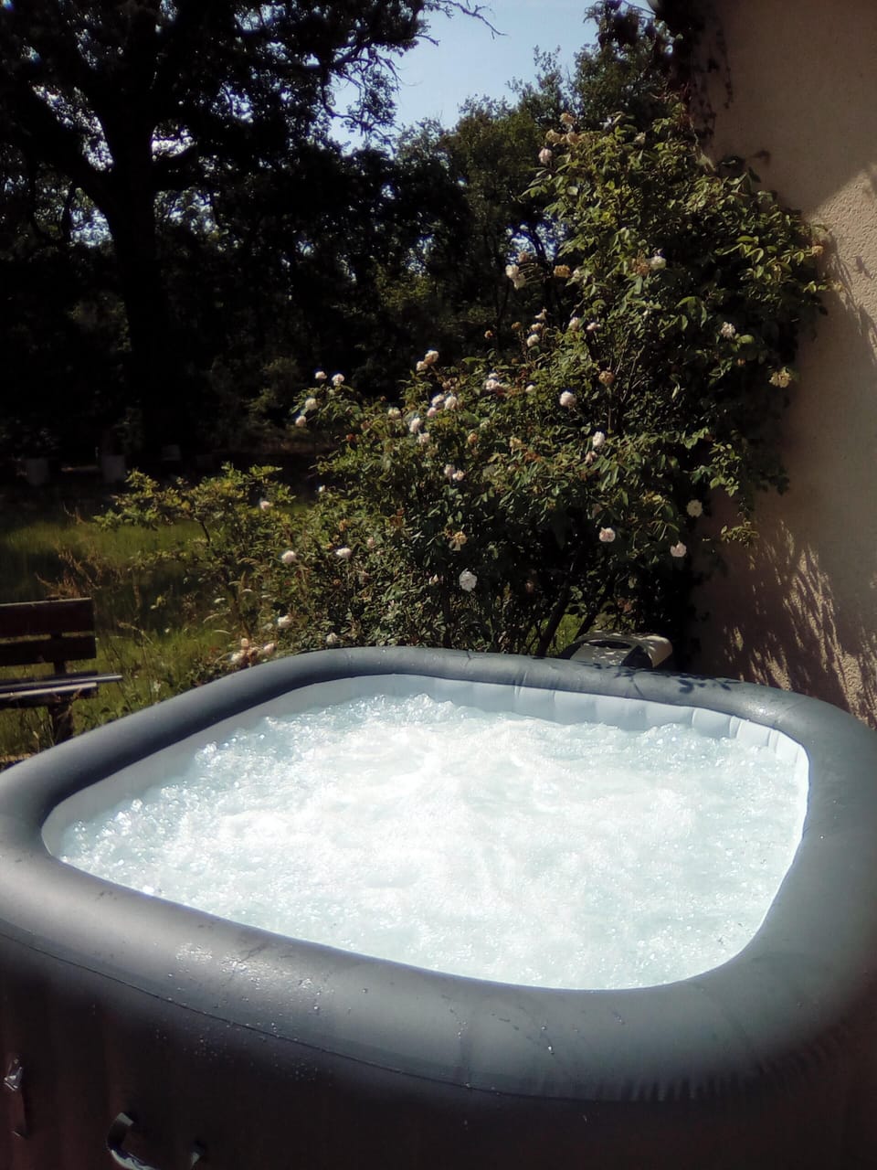 Swimming pool view