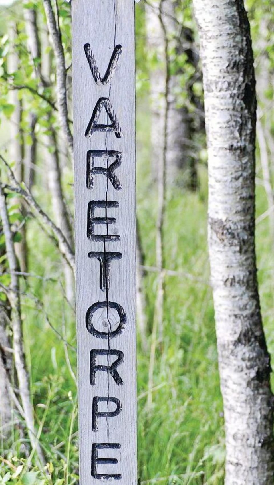area