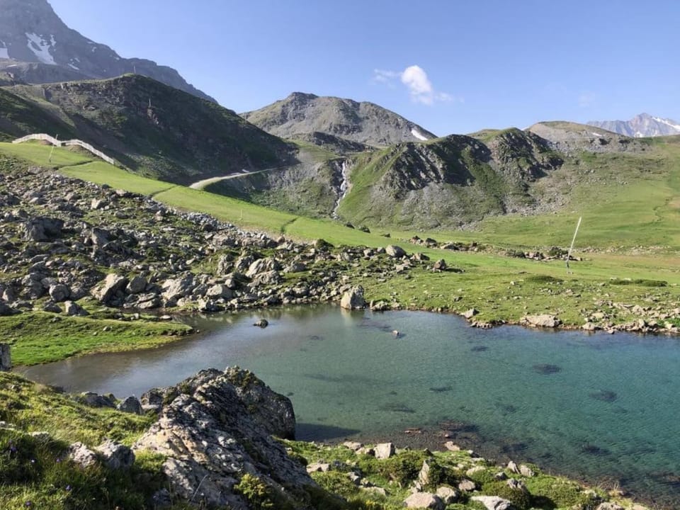 Region [summer] (>5 km)