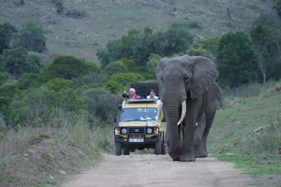 Mara Siria Luxury Tented Camp - Luxury Chalets Cottage in Kenya